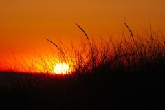 A42_Eric_Reaves